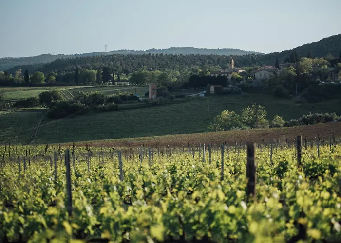 Fattoria San Donato