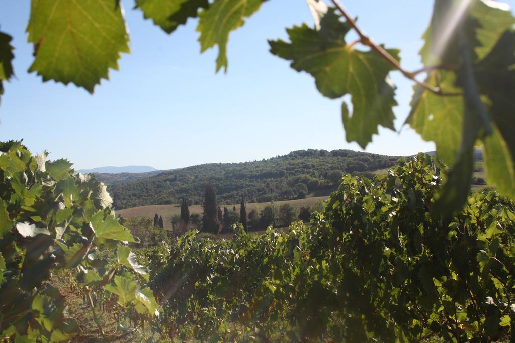 Séjour à la ferme Fattoria San Donato