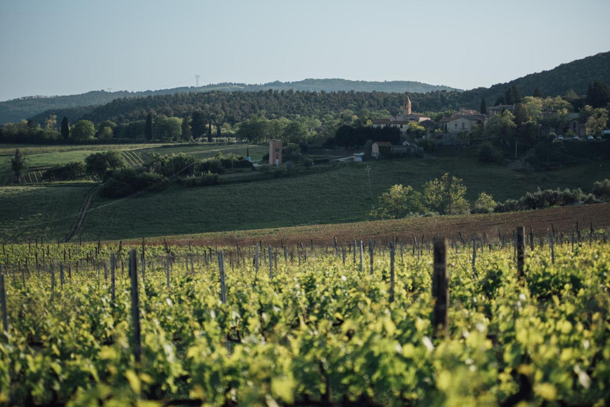 Séjour à la ferme Fattoria San Donato
