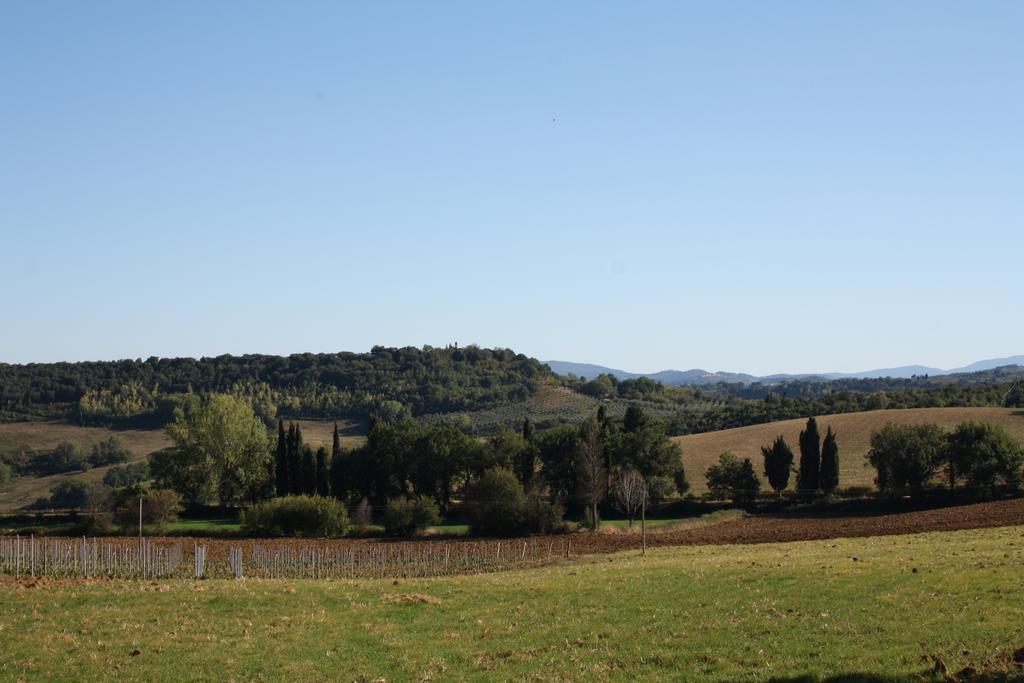 Fattoria San Donato Bauernhof *