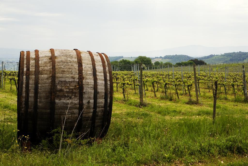 Fattoria San Donato